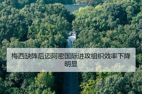 mei-xi-que-zhen-hou-mai-a-mi-guo-ji-jin-gong-zu-zhi-xiao-lv-xia-jiang-ming-xian-2-431.jpg