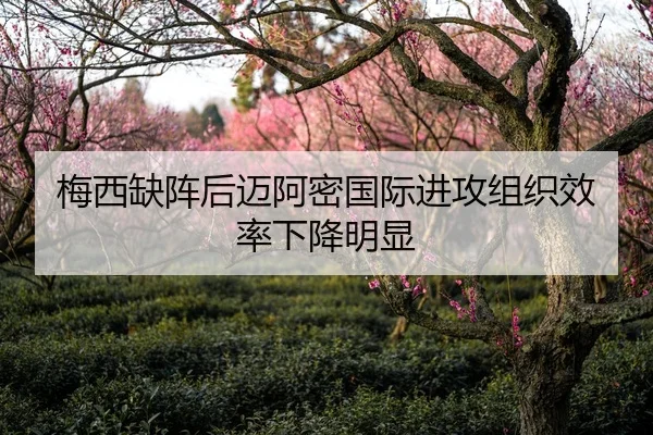 mei-xi-que-zhen-hou-mai-a-mi-guo-ji-jin-gong-zu-zhi-xiao-lv-xia-jiang-ming-xian-3-300.jpg